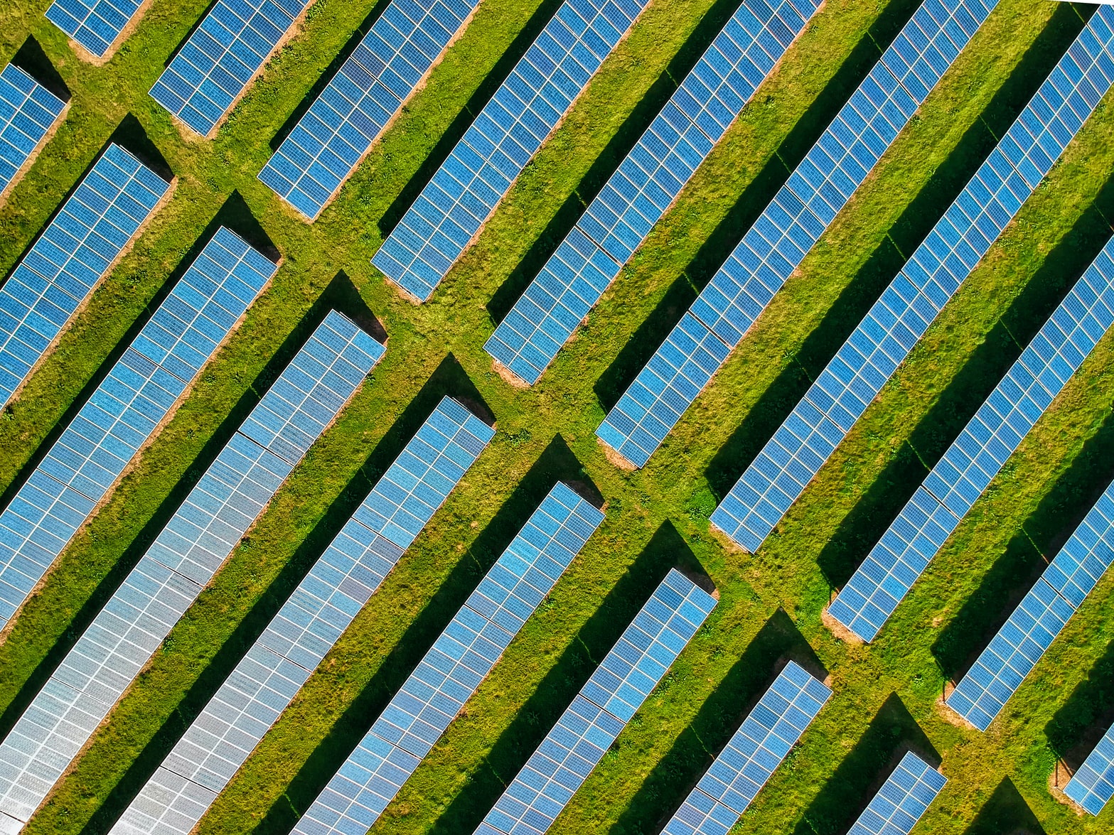 Neoen scouts seven lenders to fund Australia’s largest solar farm ...