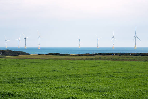 Green Genius, Polenergia join forces in Lithuanian offshore wind bid ...
