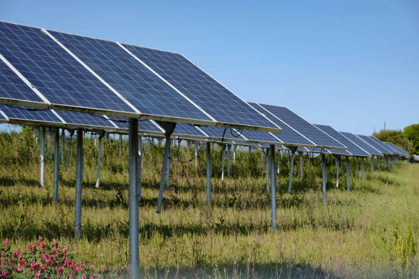 GreenGo finds investment partner for Italian renewables portfolio ...