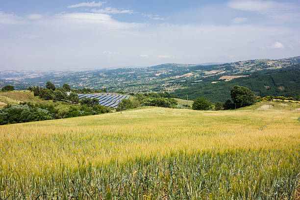 GreenGo notches first solar plant authorisation in Italy | Clean Energy ...