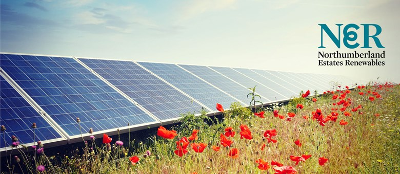 Northumberland Estates submits plans for a solar farm in North Tyneside ...