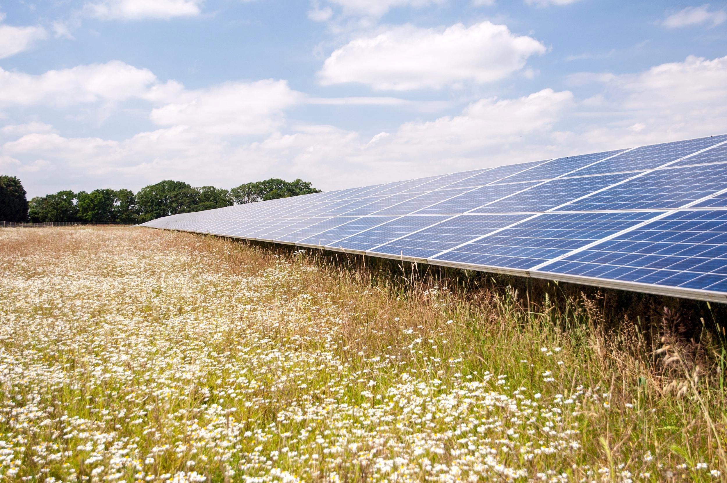 Low Carbon switches on new UK and Dutch solar projects | Clean Energy ...