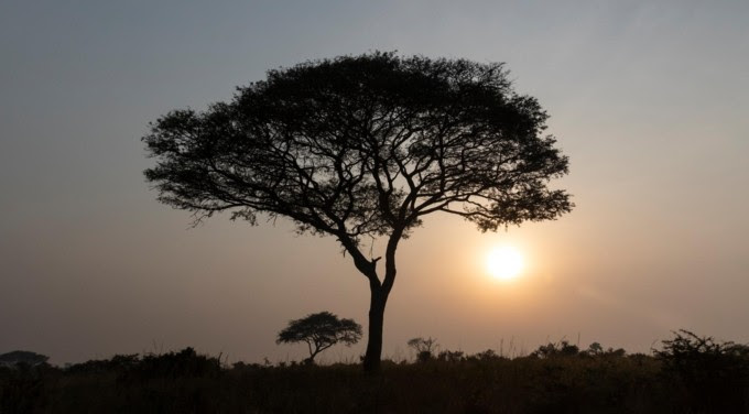 TotalEnergies, bp, Equinor and Shell pledge $500 million to boost ...