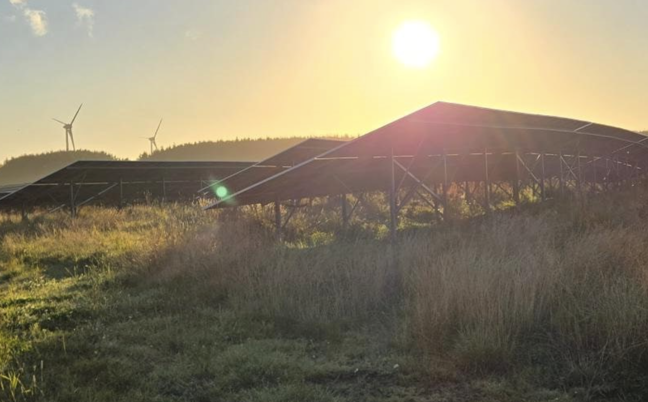 Ethical Power divests Burcot Energy Park to Chint Solar | Clean Energy ...